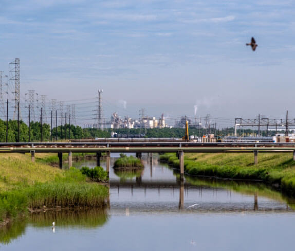 Industrial River view with bird flying